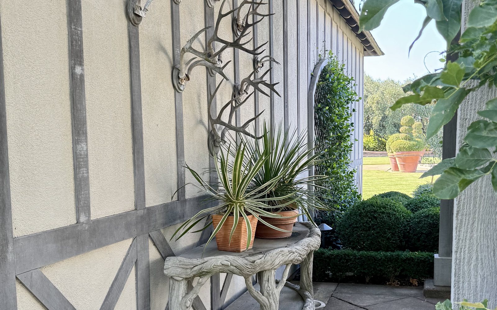 A quiet garden passage framed by greenery